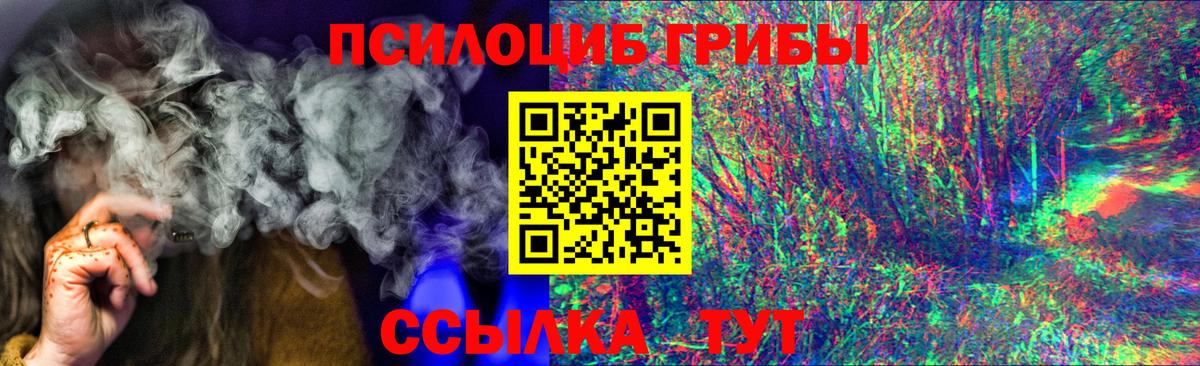 Псилоцибиновые грибы ЛСД Гурьевск