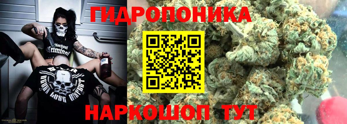 Марихуана конопля Гурьевск
